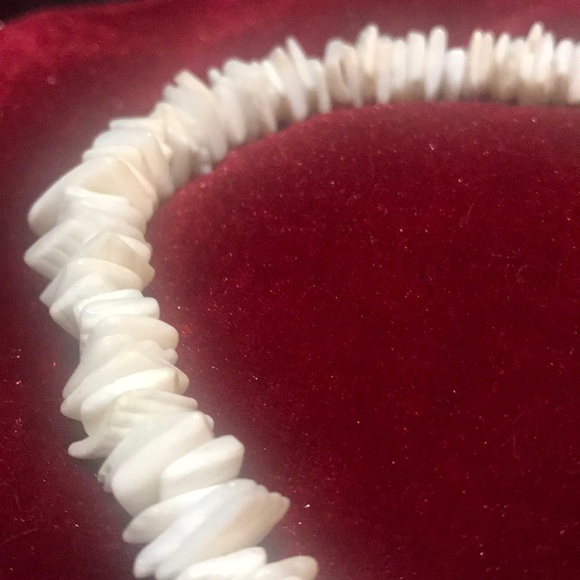 Shell Necklace - Picture 7 of 8